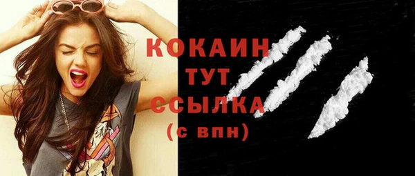 МДПВ Нефтегорск