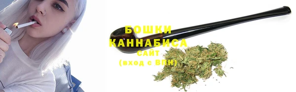 МДПВ Нефтегорск