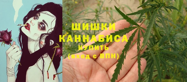 ECSTASY Нефтекумск