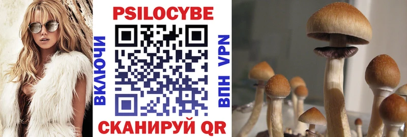 Псилоцибиновые грибы прущие грибы  Зубцов 